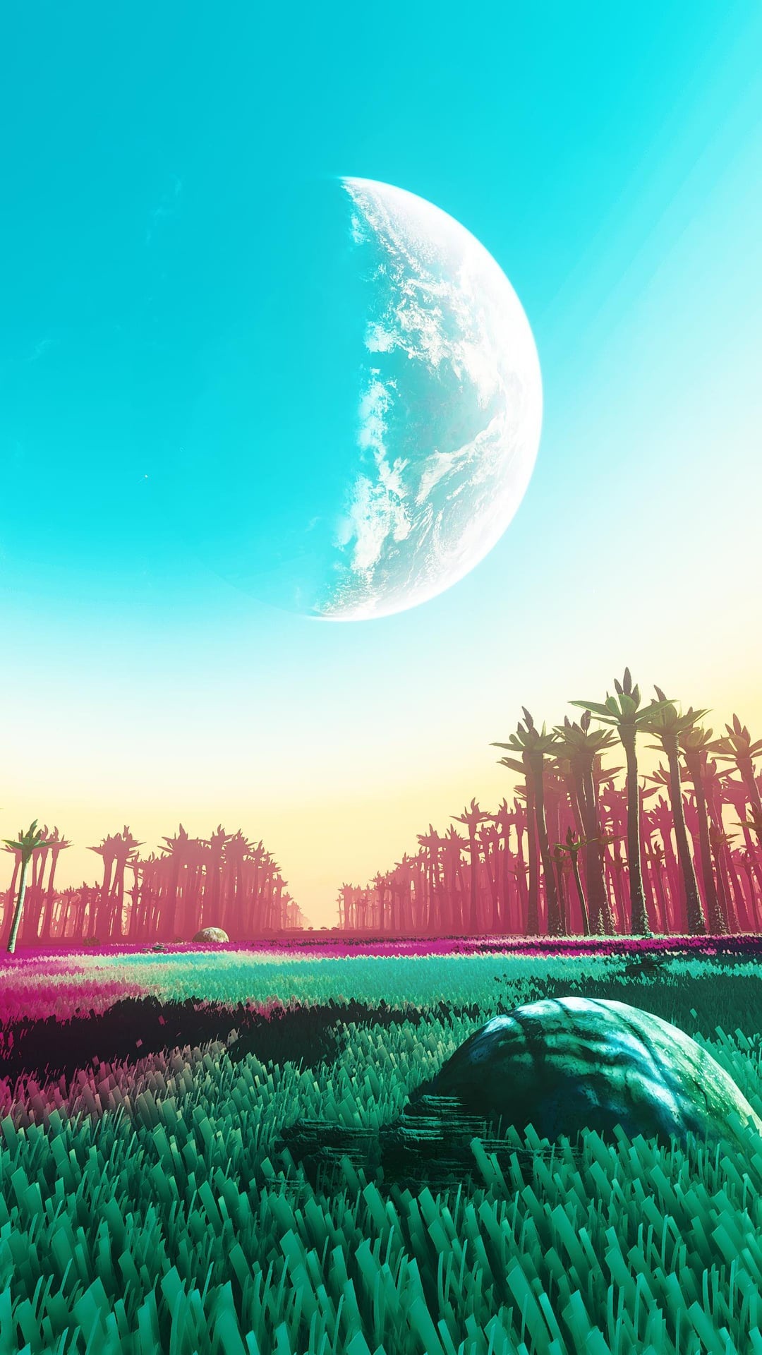 NMS Multiverse