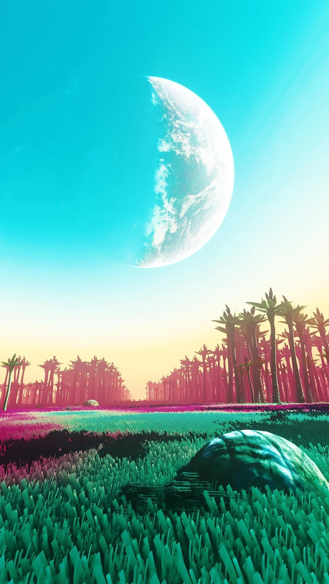 NMS Multiverse